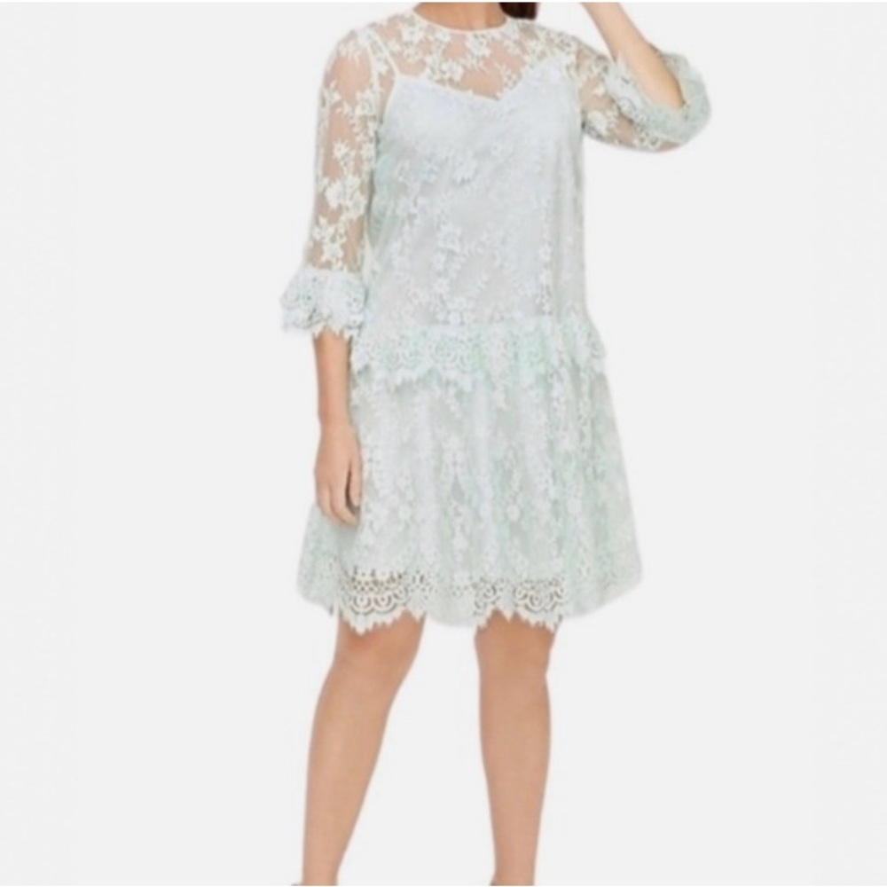 J. Crew  Floral Chantilly Lace Dress See Spray Green Blue Color